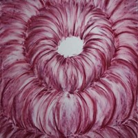 Chœur 7, Pastel rose sur calque, 66x50cm, 2011 (Coll. particulière)