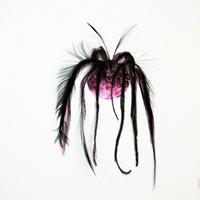 petit pastel rose et noir sur calque, 2012, arachné 11