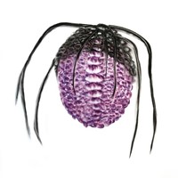 pastel rose et noir sur papier calque, cordons noirs, 2011, arachné n° 9