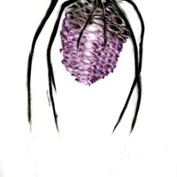 arachné n°7, pastel violet sur calque, 50 x 40 cm, 2011