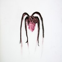 petit pastel rose et noir sur calque, 2012, arachné 10