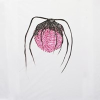 pastel sur calque,  3 x 104 x 150 cm, 2011, tryptique aux arachnés 6