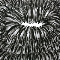Pastel noir sur papier canson, 50cm x 60cm 2009